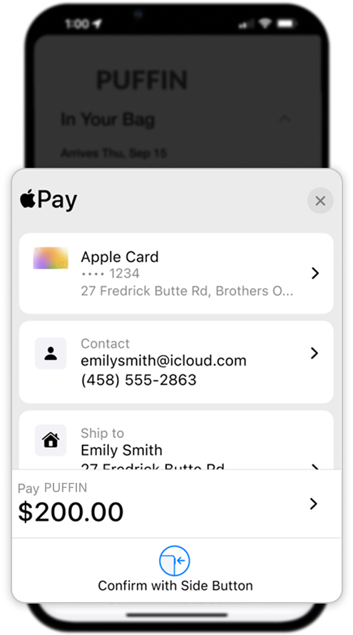 Apple Pay Overlay
